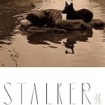 ストーカー(映画) – アンドレイ・タルコフスキー